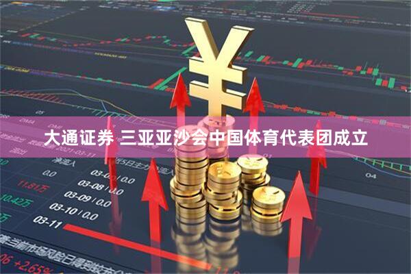 大通证券 三亚亚沙会中国体育代表团成立